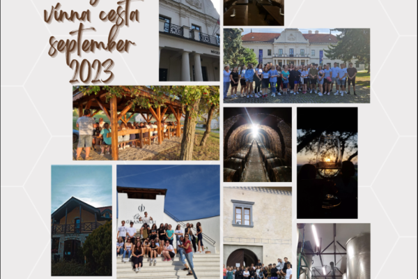 tokaj1