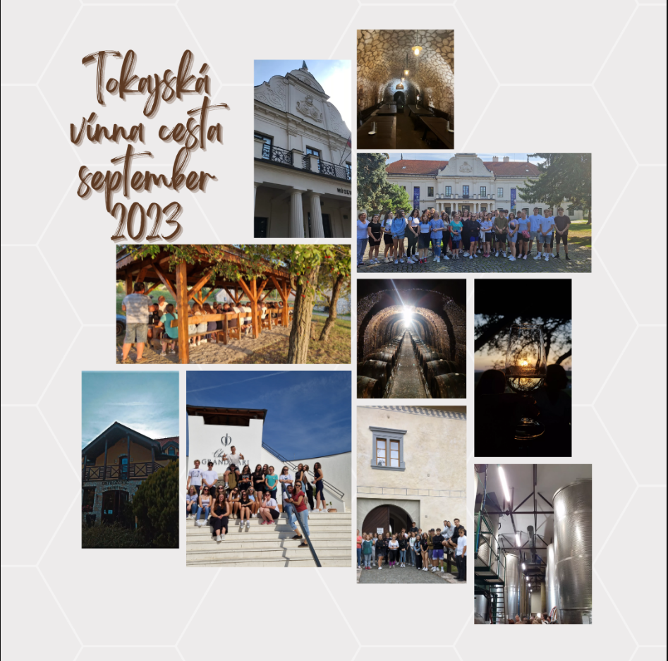 tokaj1